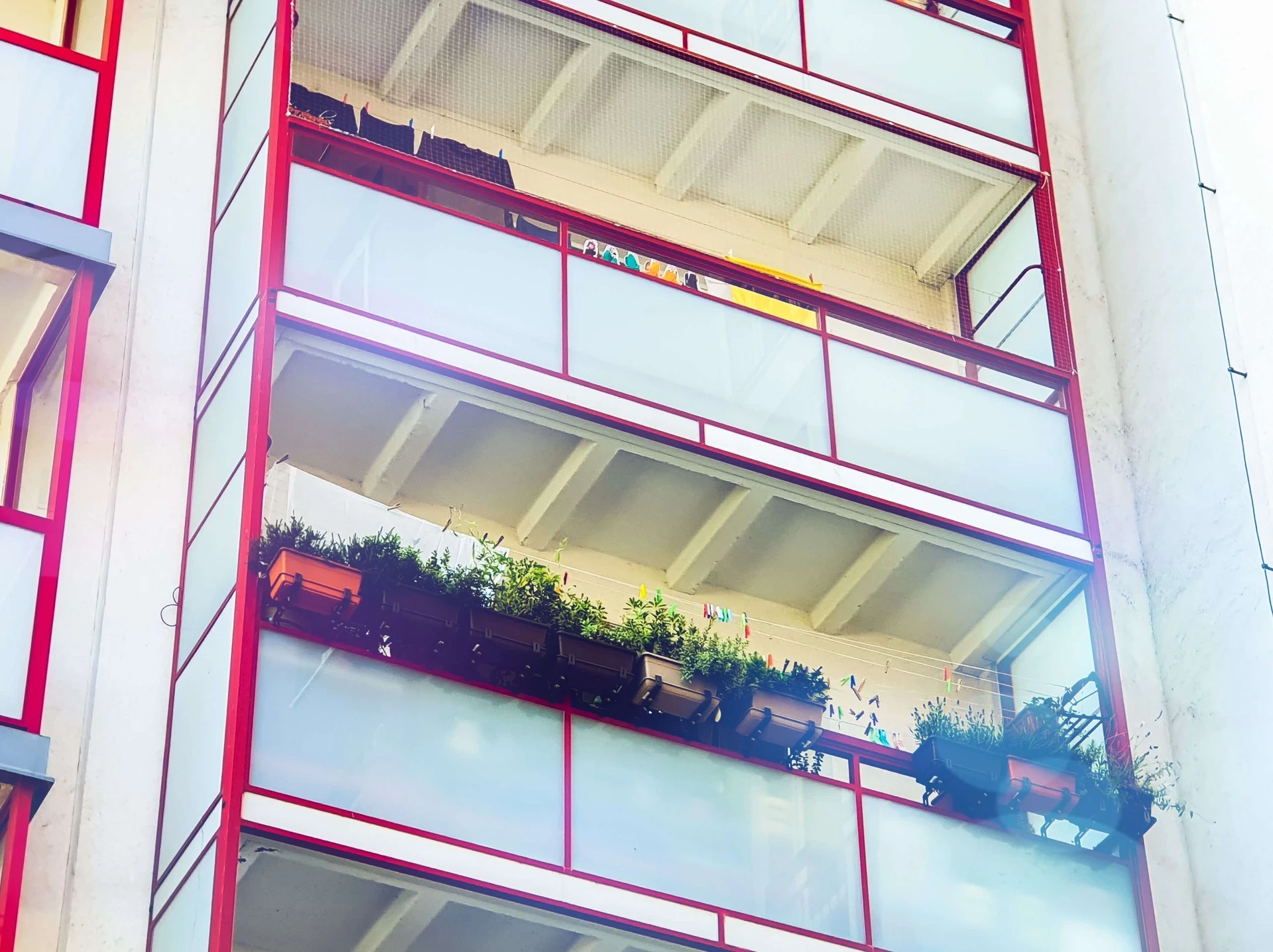 Sítě proti holubům Brno