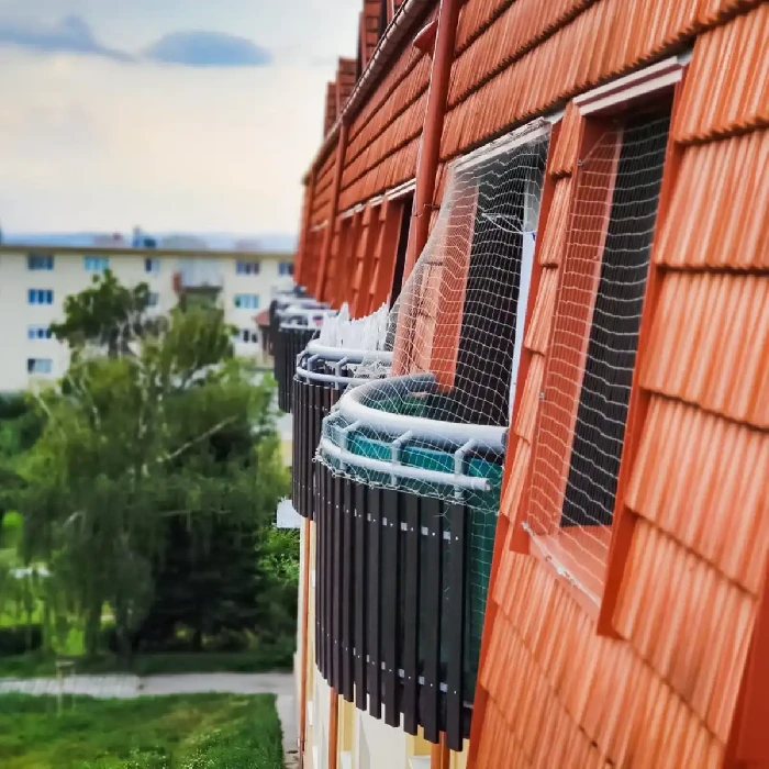 Ochrana proti ptactvu Brno